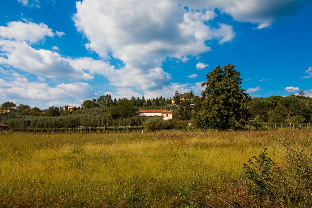 Agriturismo Terre Di Leonardo Bed and Breakfast Vinci Eksteriør billede